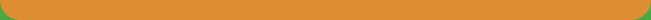 Page Footer