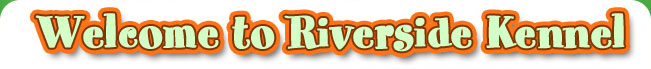 Welcome to Riverside Kennel