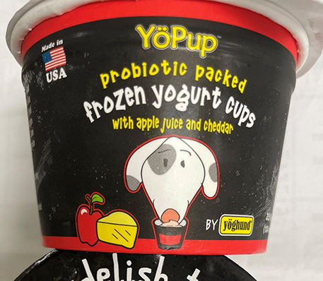 Frozen Yogurt Cups for Dogs